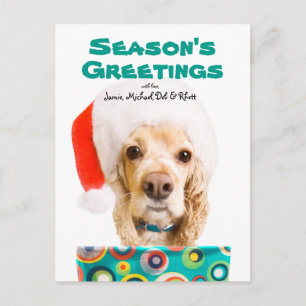 Dog wearing santa hat, holding present holiday postcard
