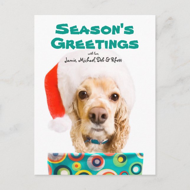 Dog wearing santa hat, holding present holiday postcard (Front)