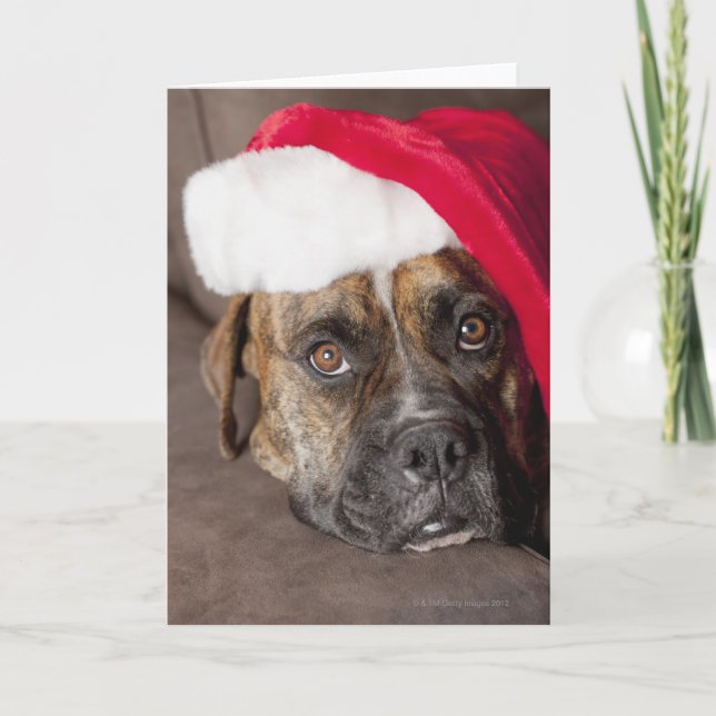 Dog wearing Santa hat Holiday Card (Front)