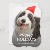 Dog wearing Santa hat