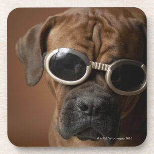 Dog wearing sunglasses coaster