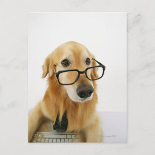 Dog wearing tie and glasses sitting on chair in postcard