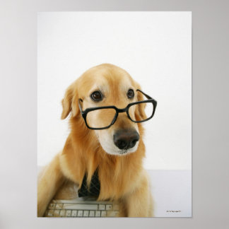 Dog wearing tie and glasses sitting on chair poster