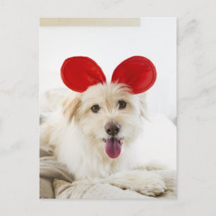 Dog wearing toy ears on bed postcard