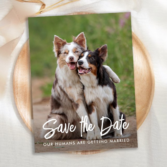 Dog Wedding Personalised Pet Photo Save The Date Announcement Postcard (Creator Uploaded)