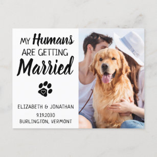 Dog Wedding Photo Save The Date Announcement Postcard