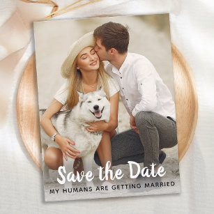 Dog Wedding Save The Date Announcement Postcard