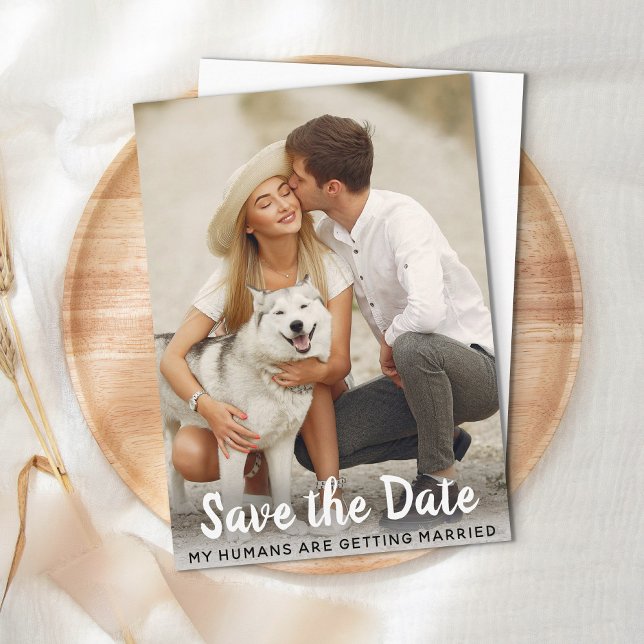Dog Wedding Save The Date Budget Postcard (Creator Uploaded)