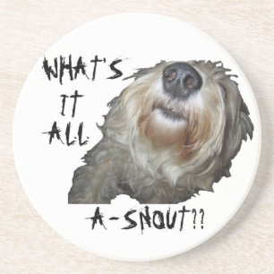 Dog "WHAT'S IT ALL A-SNOUT??" Coasters