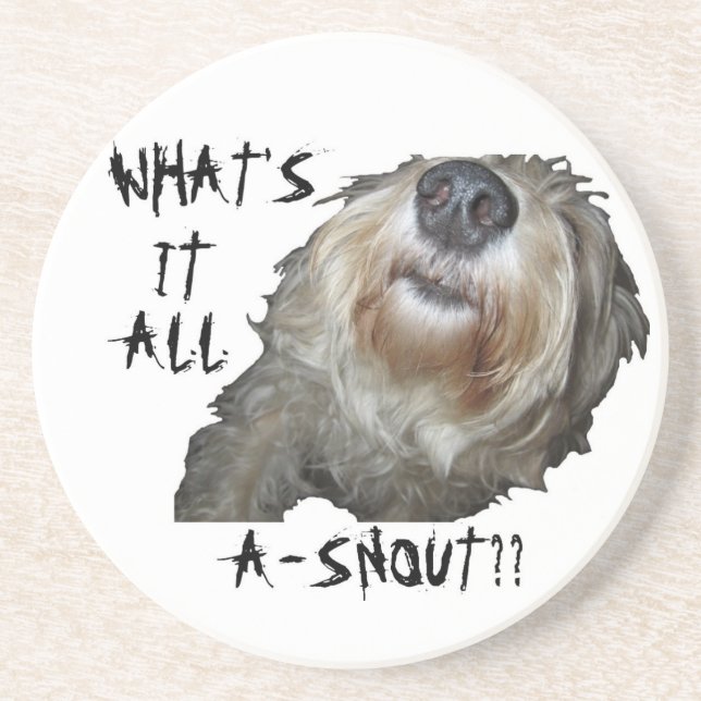 Dog "WHAT'S IT ALL A-SNOUT??" Coasters (Front)