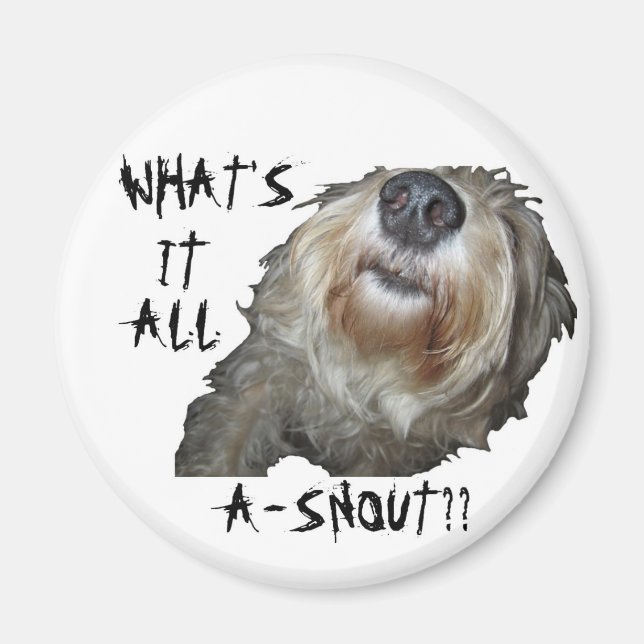 Dog "WHAT'S IT ALL A-SNOUT??" Magnet (Front)