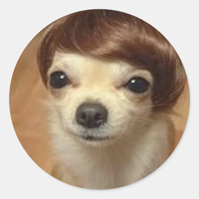 dog-wig classic round sticker (Front)