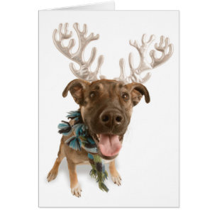 Dog with antlers