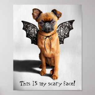 Dog With Bat Wings Poster