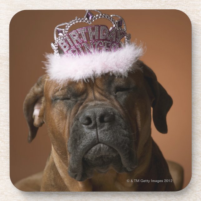 Dog with birthday crown on head coaster (Front)