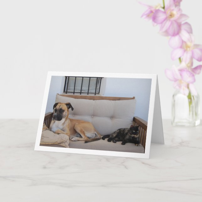 Dog with Cat on Bench Card (Orchid)