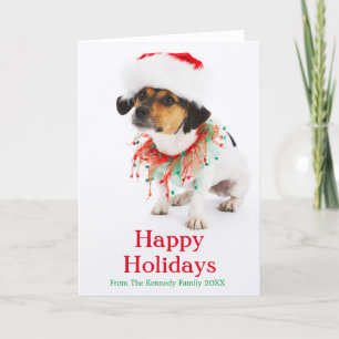Dog with Christmas Collar and Santa Hat Holiday Card