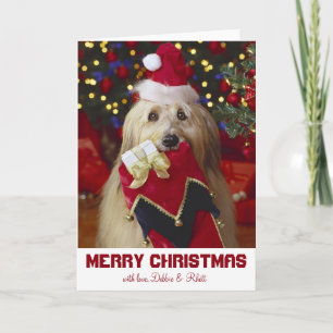 Dog with Christmas stocking Holiday Card
