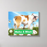 Dog With Dandelion