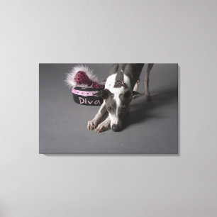 Dog with diva bowl, sniffing floor canvas print