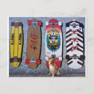 Dog with Dogtown skateboard mural Postcard