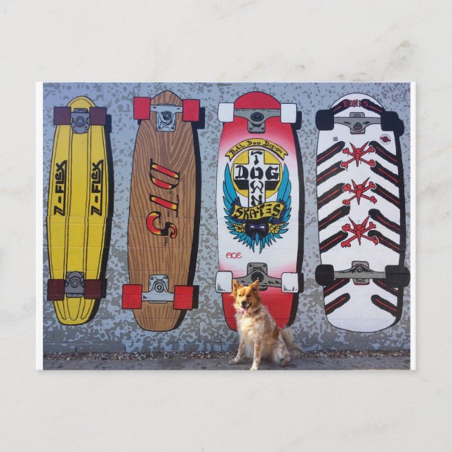 Dog with Dogtown skateboard mural Postcard (Front)
