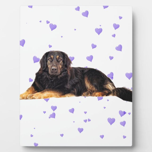 Dog with Falling purple Hearts Plaque (Front)