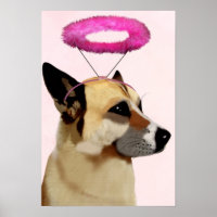 Dog with Pink Halo