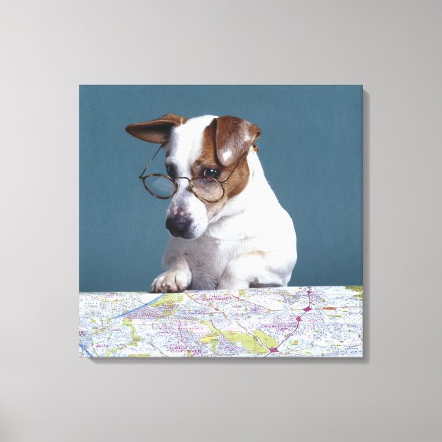 Dog with reading glasses studying map canvas print (Front)
