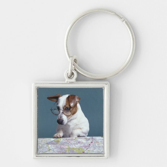 Dog with reading glasses studying map key ring (Front)