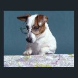 Dog with reading glasses studying map poster<br><div class="desc">Animals->Dog</div>