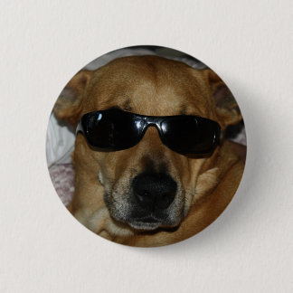 Dog with sunglasses 6 cm round badge