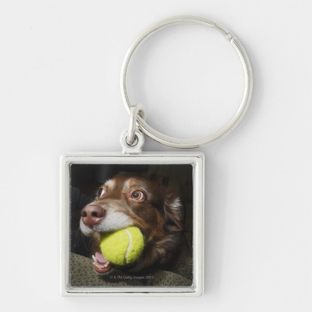 Dog with Tennis Ball Key Ring (Front)