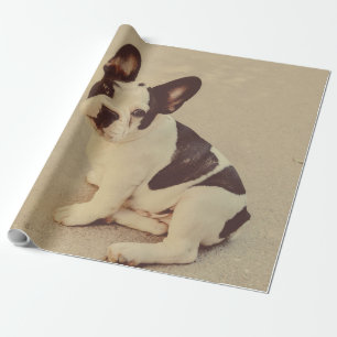 Dog Wrapping Paper