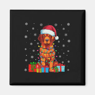 Dog Xmas Lights Santa Hat Chesapeake Bay Retriever Magnet