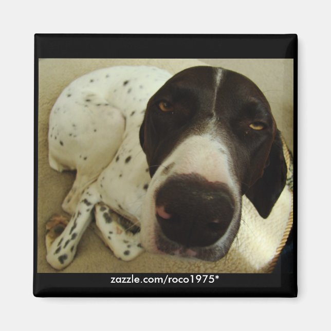 Dog Years Magnet (Front)