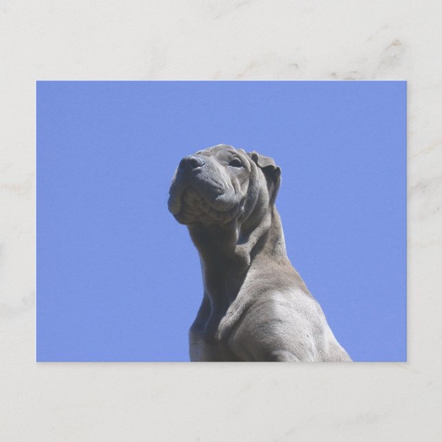 Dog Years... Postcard (Front)