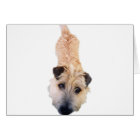 Dog Years You're 420