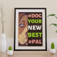 #Dog, your New Best #Pal ...Pitbull