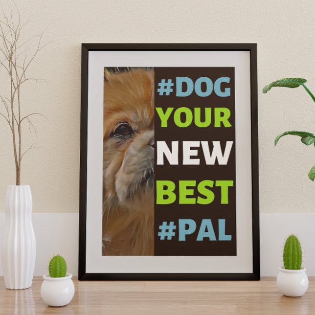 #Dog, your New Best #Pal ...Tibetan Spaniel Poster (Creator Uploaded)