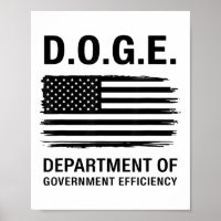Doge Department Of Government Efficiency