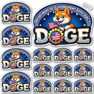 DOGE Department of Government Efficiency Vinyl