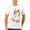 Doge - internet meme