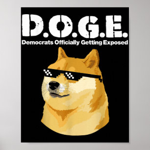 Doge Meme Democrats Officially Getting Exposed D.o Poster