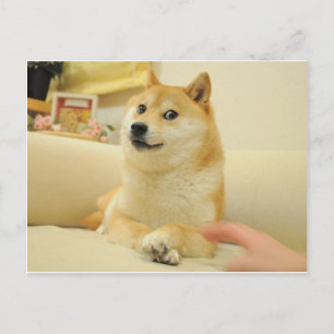 Doge Postcard