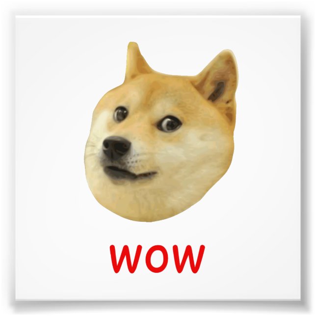 Doge Very Wow Much Dog Such Shiba Shibe Inu Photo Print (Front)