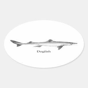 Dogfish (line art) oval sticker