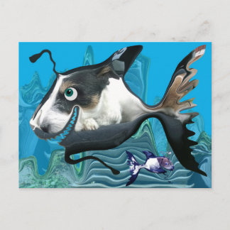 Dogfish Reef Postcard