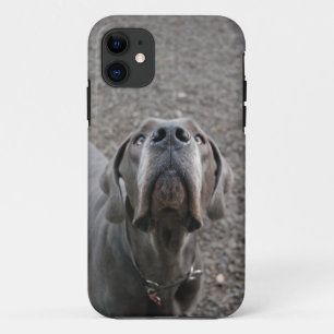 Dogge am Ohr iPhone 11 Case