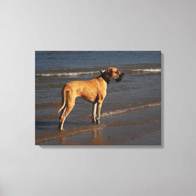 Dogge auf Keilleinwand Canvas Print (Front)